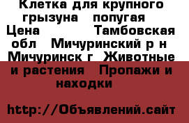 Клетка для крупного грызуна , попугая  › Цена ­ 1 500 - Тамбовская обл., Мичуринский р-н, Мичуринск г. Животные и растения » Пропажи и находки   